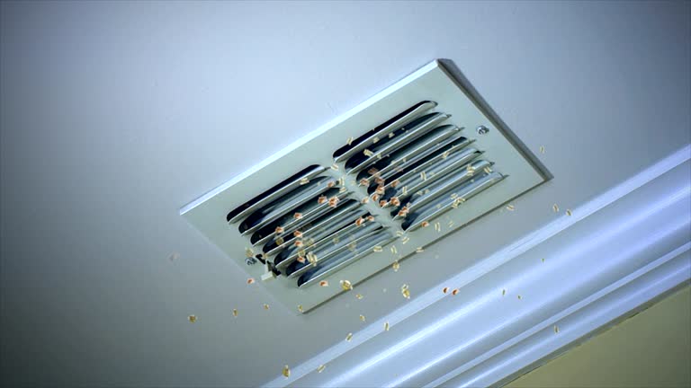 Best Duct Cleaning for Homes  in Pagosa Springs, CO